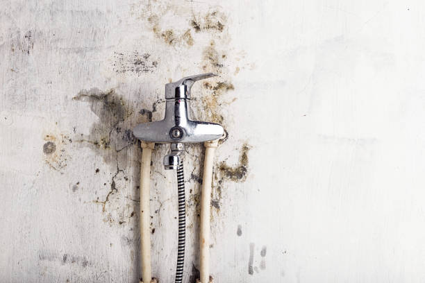 Mold Removal and Inspection in Oak Grove, SC
