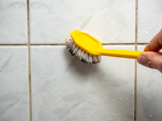 Best Mold Testing  in Oak Grove, SC