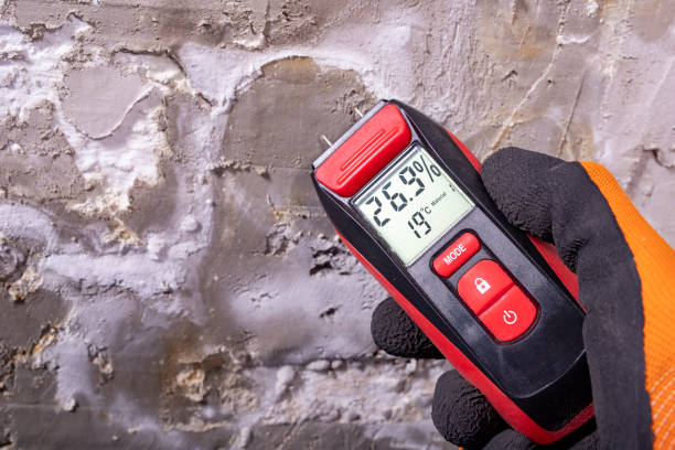 Mold Testing and Removal in Oak Grove, SC